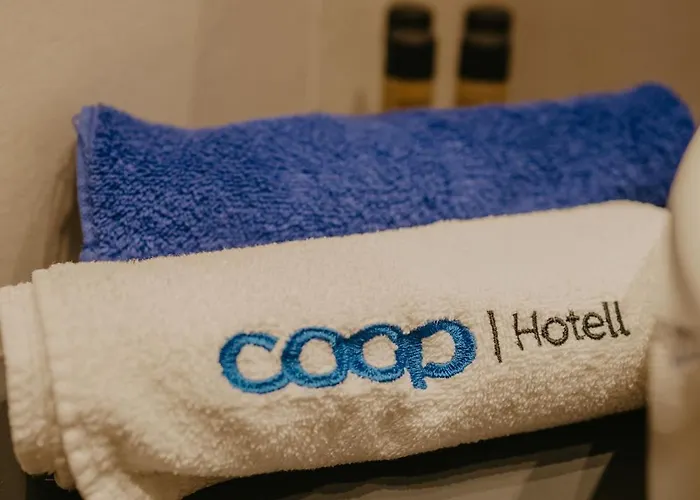 Hotel Coop 3*